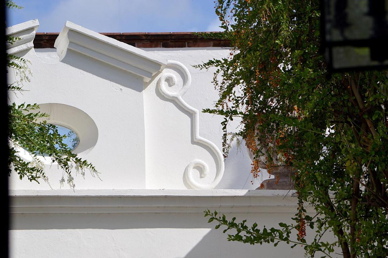 Casa De Los Olivos San Miguel de Allende Extérieur photo